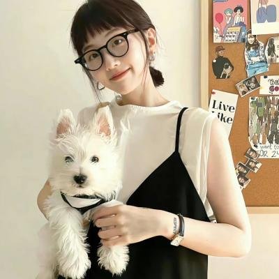 访客