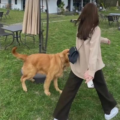 在儿童食堂